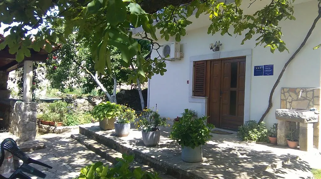 Apartment Pud Oreh Roč 0*,